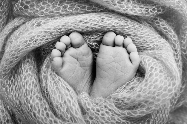 De kleine voet van een pasgeborene. Zachte voeten van een pasgeborene in een deken. Close up van tenen, hielen en voeten van een pasgeboren baby. Studio Macrofotografie. Het geluk van de vrouw. Fotografie, concept. Zwart en wit.