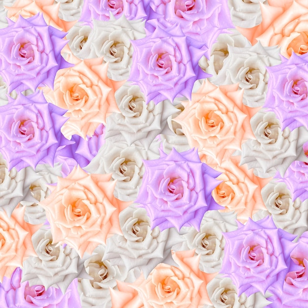 De kleurrijke purpere witte en bruine roze achtergrond van het bloempatroon