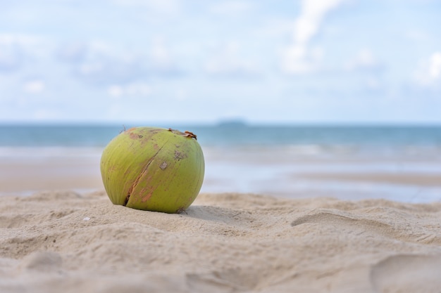 De kokosnoot wordt op een zandstapel op het strand geplaatst met uitzicht op zee en lucht.