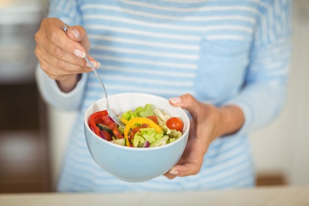 De kom van de vrouwenholding plantaardige salade