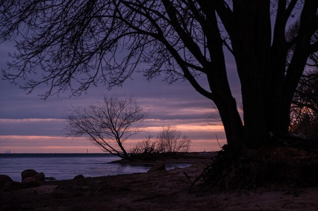 De kust van de Finse Golf in de winter bij zonsondergang in Lakhta Sankt Petersburg