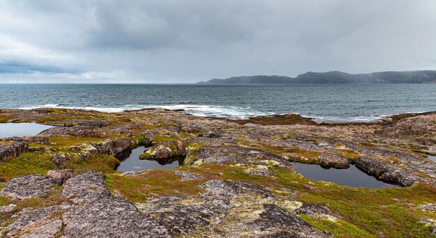 De kust van de noordelijke oceaan is gemaakt van stenen bedekt met kleurrijk mos. Teriberka, Barentszzee, regio Moermansk, schiereiland Kola