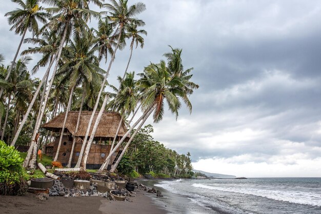 De kust van de oceaan een huis in de jungle wordt begrensd door water vulkanisch zwart zand