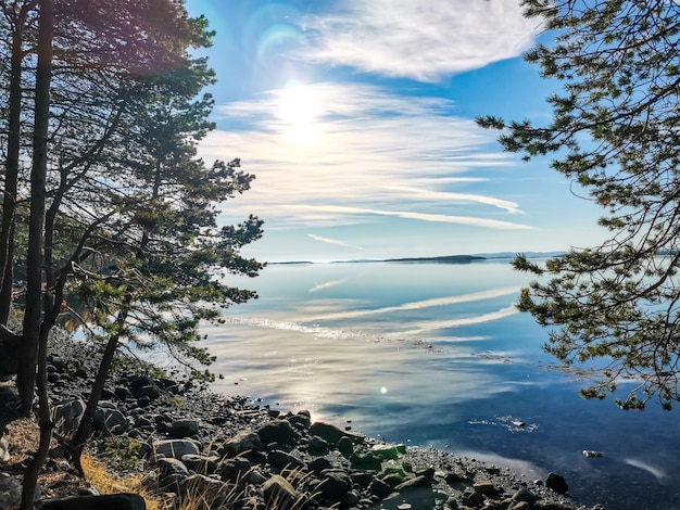 De kust van de Witte Zee met bomen op de voorgrond en stenen in het water op een zonnige dag Karelië