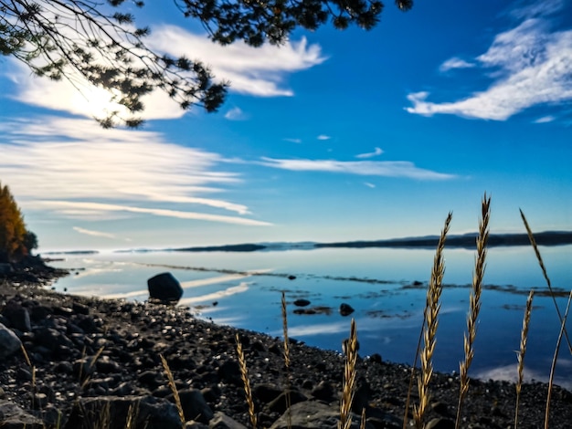 De kust van de Witte Zee met bomen op de voorgrond en stenen in het water op een zonnige dag Karelië
