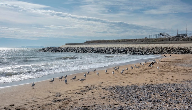 De kust van de Zwarte Zee bij Odessa in Oekraïne