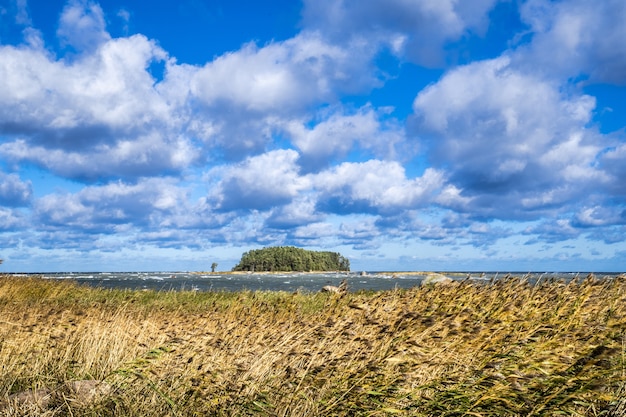 De kust van Estland bij Lahemaa National Park