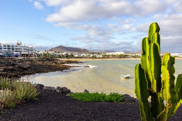 Foto de kustlijn van costa teguise op het canarische eiland lanzarote (spanje) met cactussen op de voorgrond