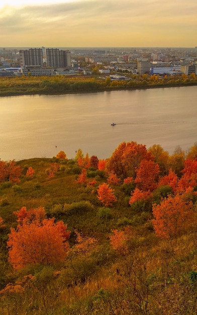 De kwakzalver herfst op de oever van de rivier