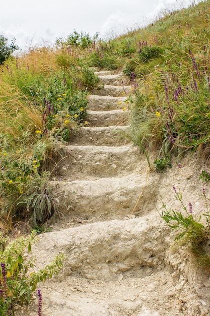 De ladder van de aarde. Stairs in het veld. Wild veld. Detailopname.