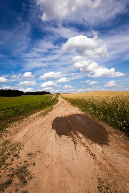 De landelijke weg