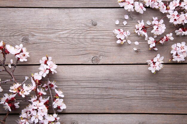 De lente bloeiende takken op grijze houten achtergrond.