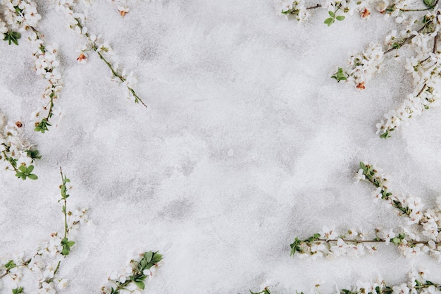 De lente bloeit kers die op een grijze achtergrond tot bloei komen