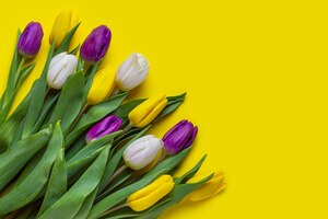De lente bloeit tulpen op gele achtergrond copyspace