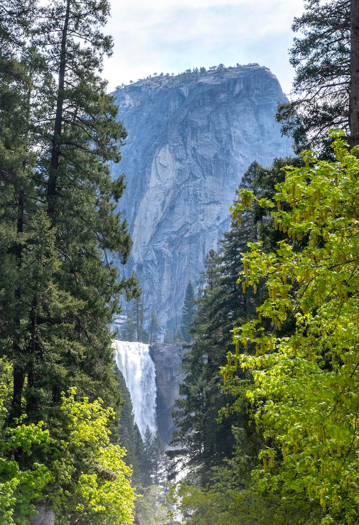 Foto de lente valt op de zomer mist pad yosemite national park californië