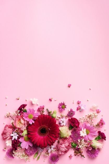 De lentesamenstelling van roze bloemen op punchy pastelkleurachtergrond.