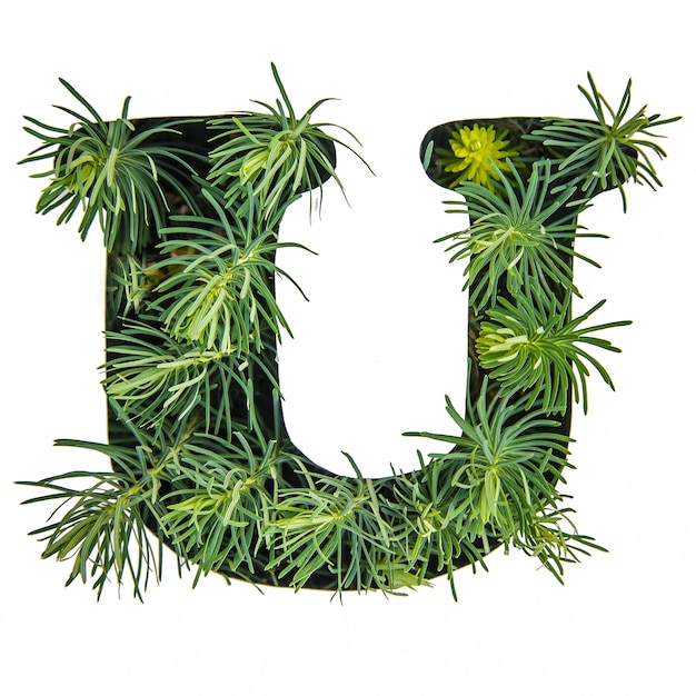 Foto de letter u van het engelse alfabet van groen gras