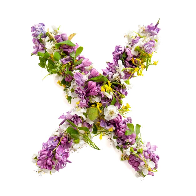 Foto de letter x gemaakt van verschillende natuurlijke kleine bloemenxd