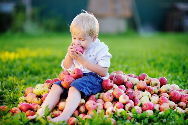 De leuke zitting van de peuterjongen op hoop van appelen en het eten van rijpe appel in binnenlandse tuin