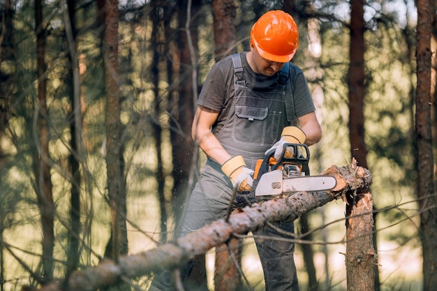 De logger gebruikt een zaag. Een persoon die een zaag gebruikt tijdens het zagen van hout.