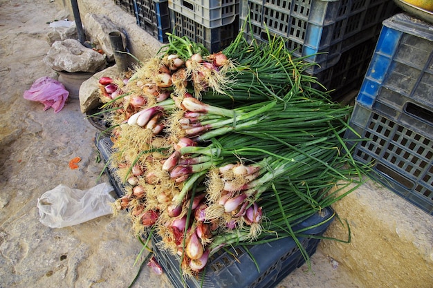 De lokale markt in tarim jemen