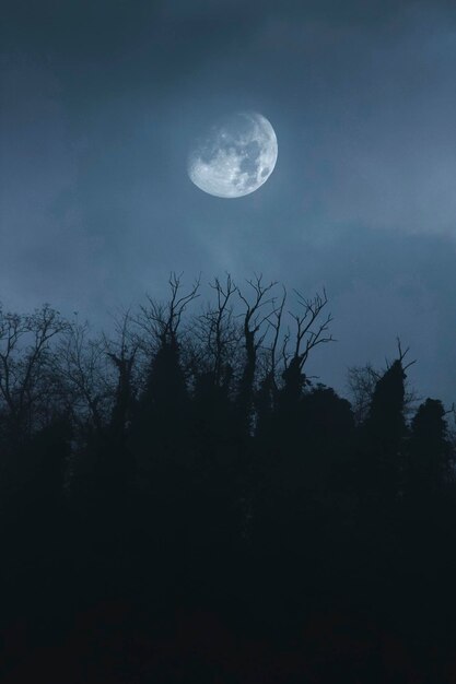 Foto de maan komt uit het bos.