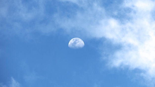 De majestueuze maan bij daglicht. Een zeldzame aanblik