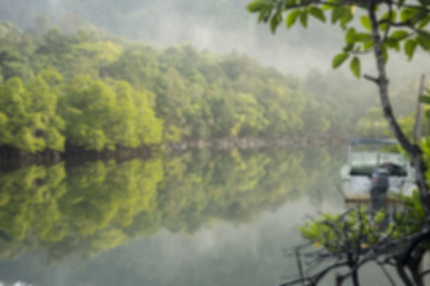 Foto de mangrove tropisch bos van het onduidelijke beeld met kanaal