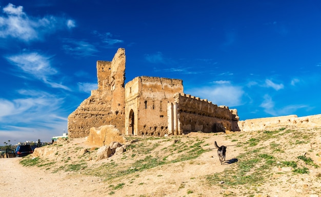 De Marinid of Merenid Tombs in Fes, Marokko