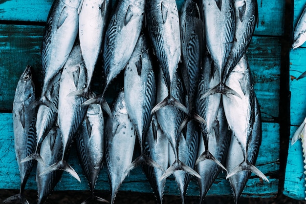 De markt voor zeevis. Straatmarkt. Verkoop van verse vis. Vers gevangen vis. Viswinkel. Producten voor het restaurant. Visserij. Aziatische keuken. Zeevruchten. Gezond dieet. Visser. Vangst. Vers voedsel