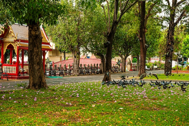 De Marmeren Tempel, Wat Benchamabopitr Dusitvanaram Bangkok THAILAND