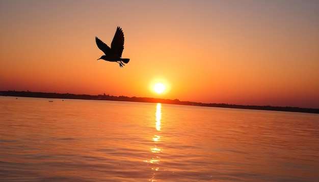 De meeuw vliegt tegen de achtergrond van de zonsondergang.