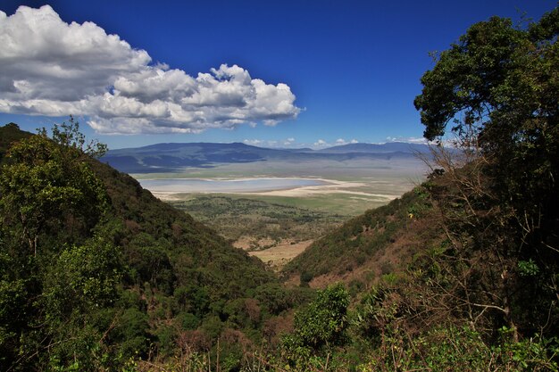 De mening over het nationale park van Ngorongoro, Tanzania