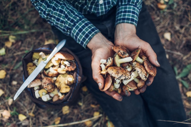 De mens houdt een handvol olieachtige paddestoelen