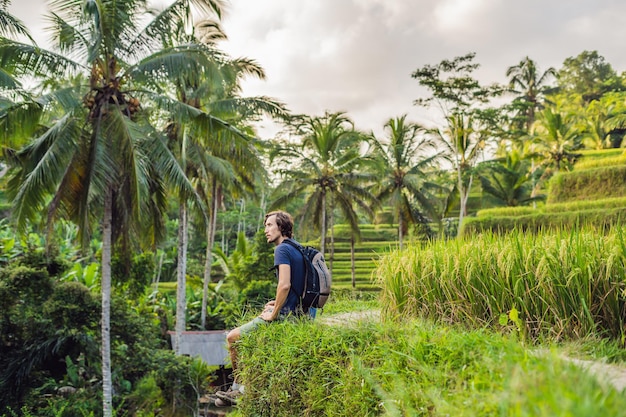 De mens is een reiziger in een rijstveld in Ubud, Bali, Indonesië.