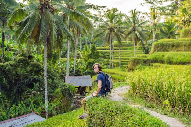 De mens is een reiziger in een rijstveld in Ubud, Bali, Indonesië.