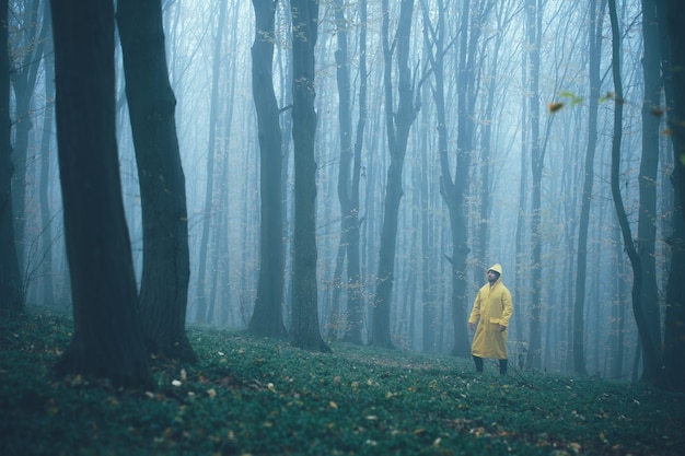 Foto de mens is verdwaald in een spookachtig mistig bos