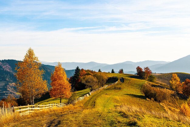 De met gras begroeide weg loopt langs een houten hek op de bergkam langs terracottabomen in het hoogland tegen bergen onder de blauwe lucht met roze wolken in de herfst