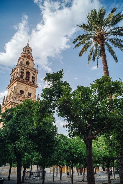 De Mezquita, Cordoba