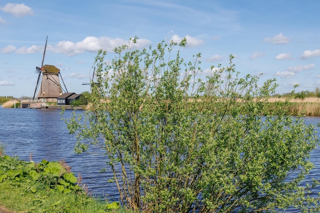 Foto de molens van kinderdijk in nederland