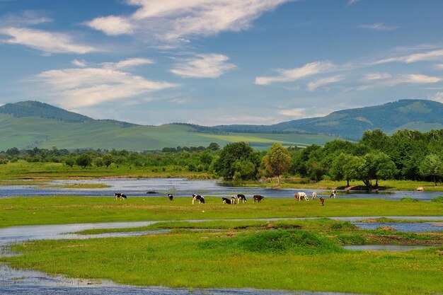 De monding van de rivier de Malbaie