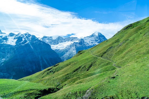 De mooie Berg van Alpen in Grindelwald, Zwitserland