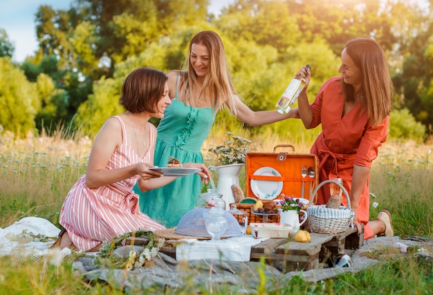 De mooie jonge vrouwen van meisjesmeisjes op een picknick in de zomerpret om wijn te vieren en te drinken.