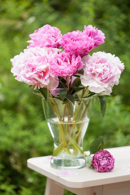 De mooie roze pioen bloeit boeket in tuin