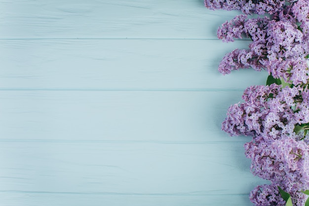 De mooie violette sering op een blauwe houten achtergrond