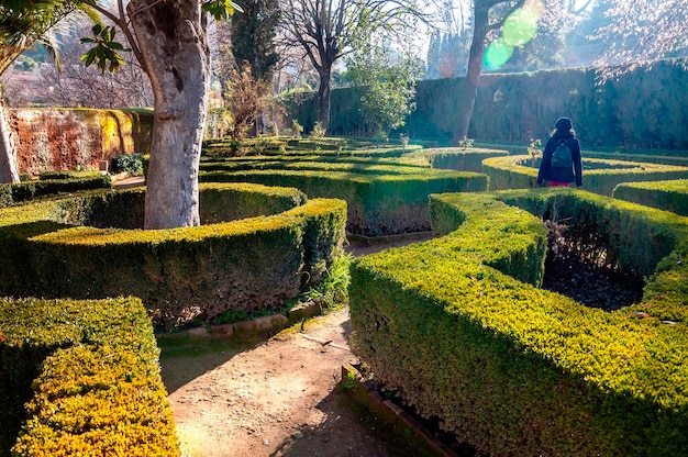 De Moorse tuinen van Alhambra Spanje bij zonsopgang