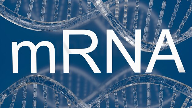 De mrna of boodschapper Ribonucleic Acid witte tekst voor medische of uitbraak concept 3D-rendering