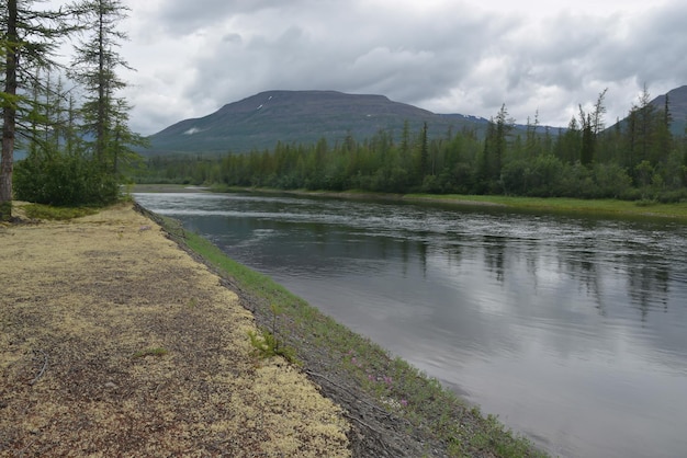 De Muksun-rivier op het Putorana-plateau