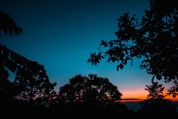 De nachtelijke hemel en de Melkweg op de berg