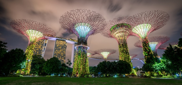 Foto de nachthorizon van singapore bij tuinen door de baai